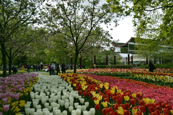 Quelles sont les meilleures périodes pour visiter les jardins de Keukenhof aux Pays-Bas?